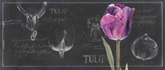 Chalkboard Flower Study Collection D