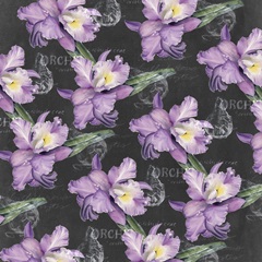 Chalkboard Flower Study Collection F