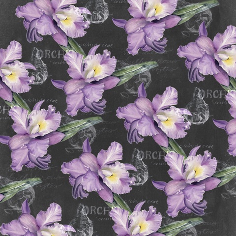 Chalkboard Flower Study Collection F