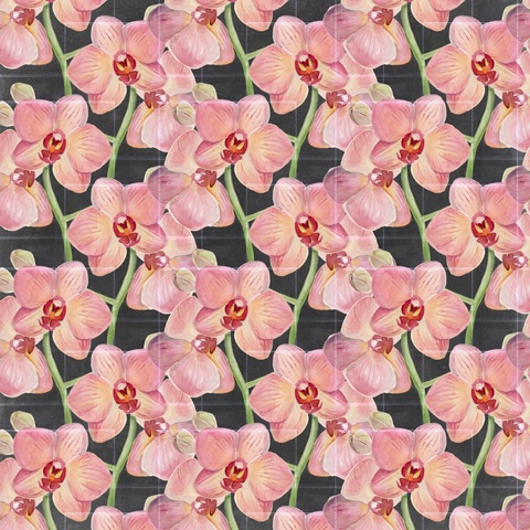 Chalkboard Flower Study Collection G