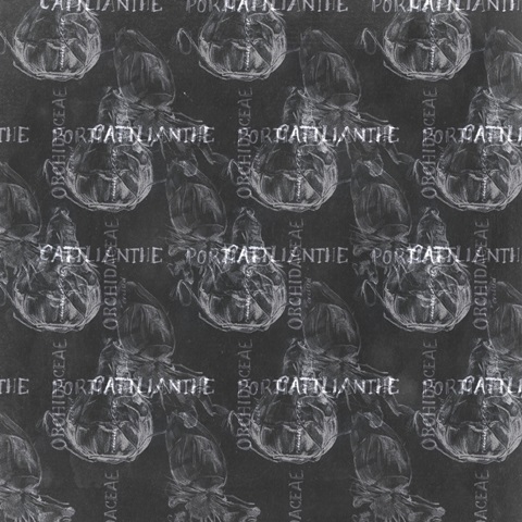 Chalkboard Flower Study Collection H