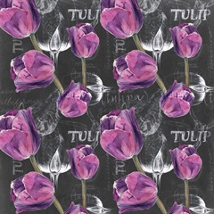 Chalkboard Flower Study Collection I