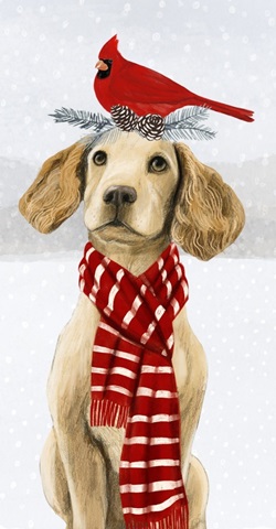 Christmas Cats and Dogs Collection B