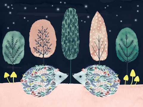 Clementine's Collection A