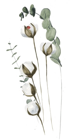 Cotton Bouquet Collection B