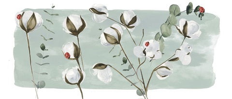 Cotton Bouquet Collection D