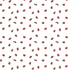 Cotton Bouquet Collection H