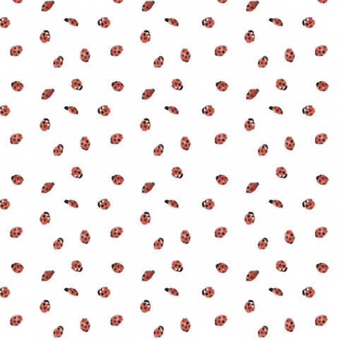 Cotton Bouquet Collection H