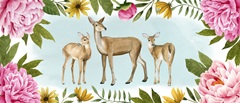 Deer Spring Collection D
