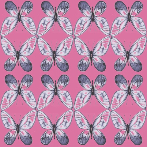 Deer Spring Collection F