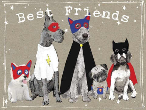 Fancy Pants Best Friend Collection A