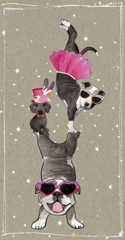 Fancy Pants Best Friend Collection B