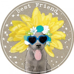 Fancy Pants Best Friend Collection C