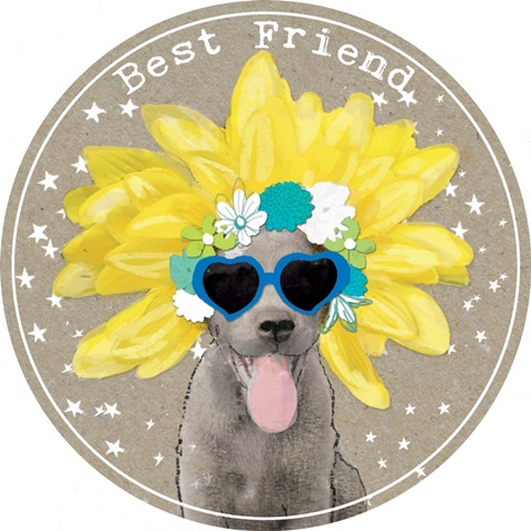 Fancy Pants Best Friend Collection C