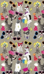 Fancy Pants Best Friend Collection E