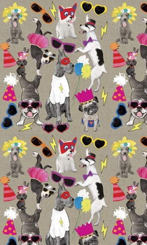 Fancy Pants Best Friend Collection E