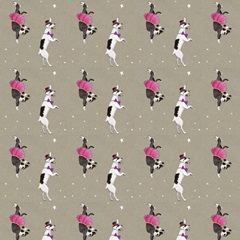 Fancy Pants Best Friend Collection F