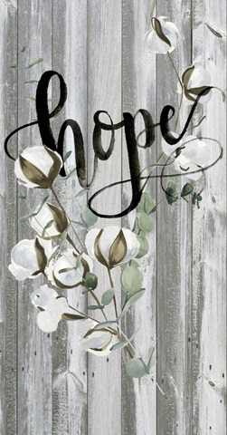 Farmhouse Inspiration Collection B