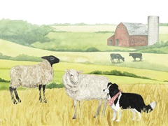 Farmland Family Collection A