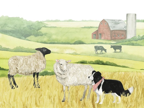 Farmland Family Collection A
