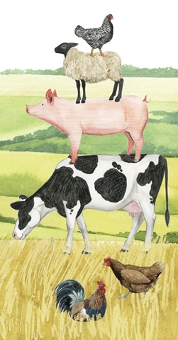 Farmland Family Collection B