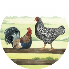 Farmland Family Collection C