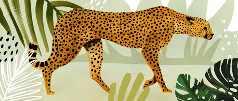 Flamingo Forest Collection D