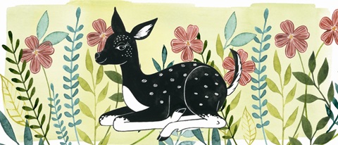 Floral Forester Collection D