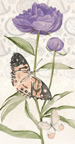 Flowers and Lace Collection B