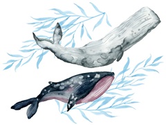 Flying Dreams Collection A