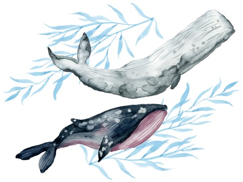 Flying Dreams Collection A