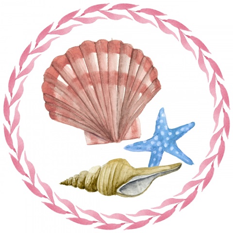 Flying Dreams Collection C