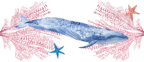 Flying Dreams Collection D