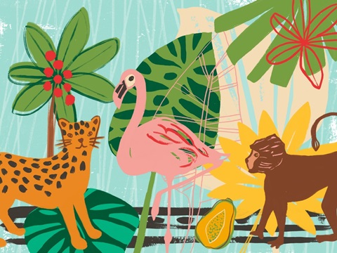 Graphic Jungle Collection A