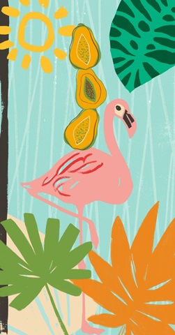 Graphic Jungle Collection B