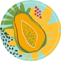 Graphic Jungle Collection C