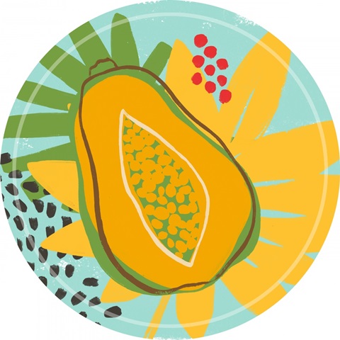 Graphic Jungle Collection C