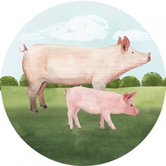 Home on the Farm Collection C