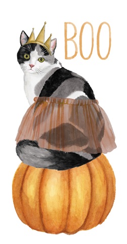 Howloween Collection B