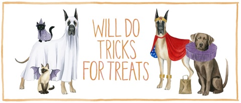 Howloween Collection D