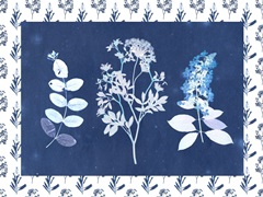 Indigo Florals Collection A