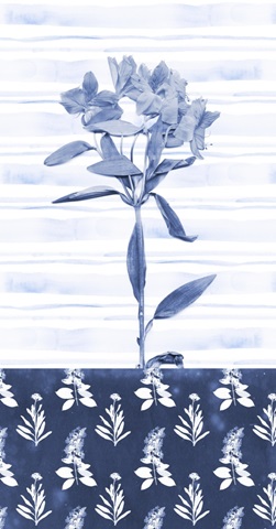 Indigo Florals Collection B