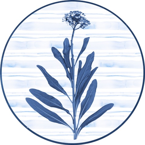 Indigo Florals Collection C