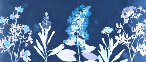 Indigo Florals Collection D