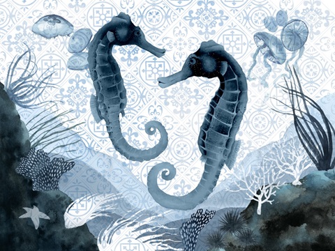 Marine Morocco Collection A