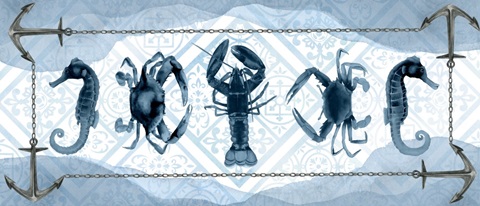 Marine Morocco Collection D