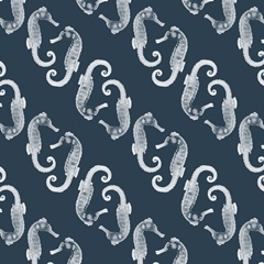 Marine Morocco Collection I