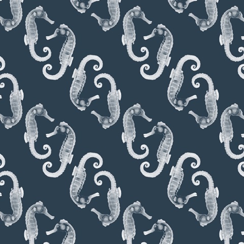 Marine Morocco Collection I