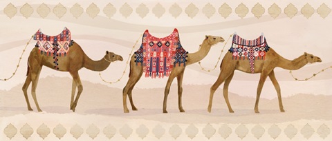 Meet me in Marrakech D