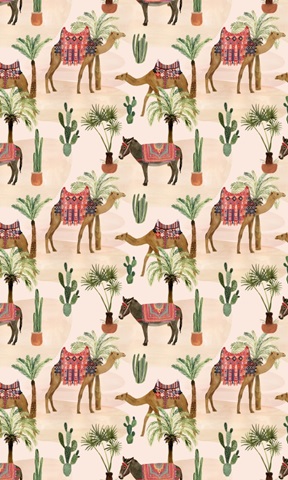 Meet me in Marrakech E